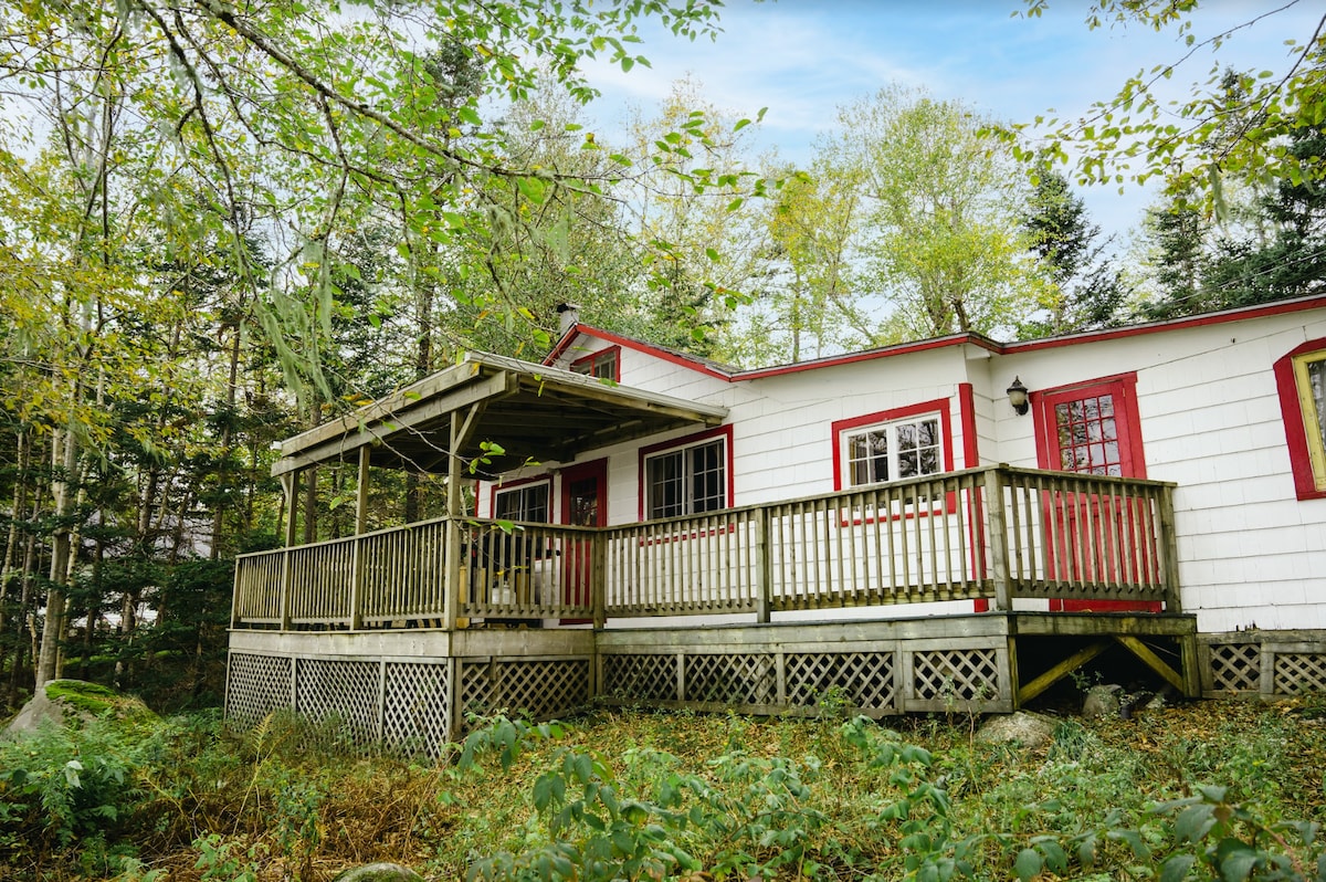 Beach Cottage - Yellow Birches