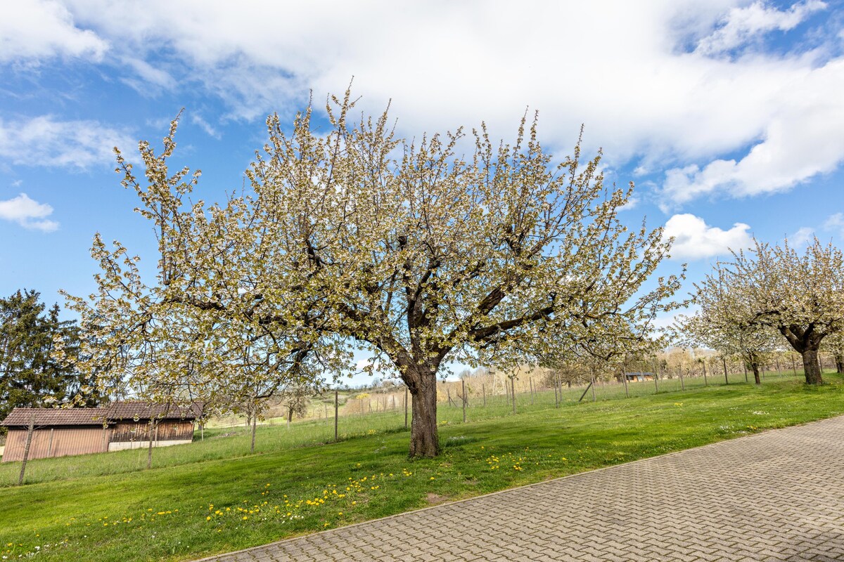 Ferienwohnung Kirschbaum