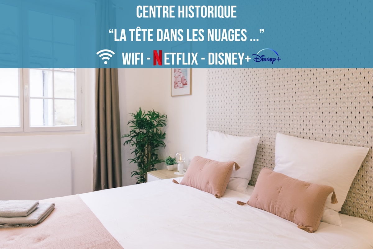 Autour du Monde - Historic center/Quiet/Netflix