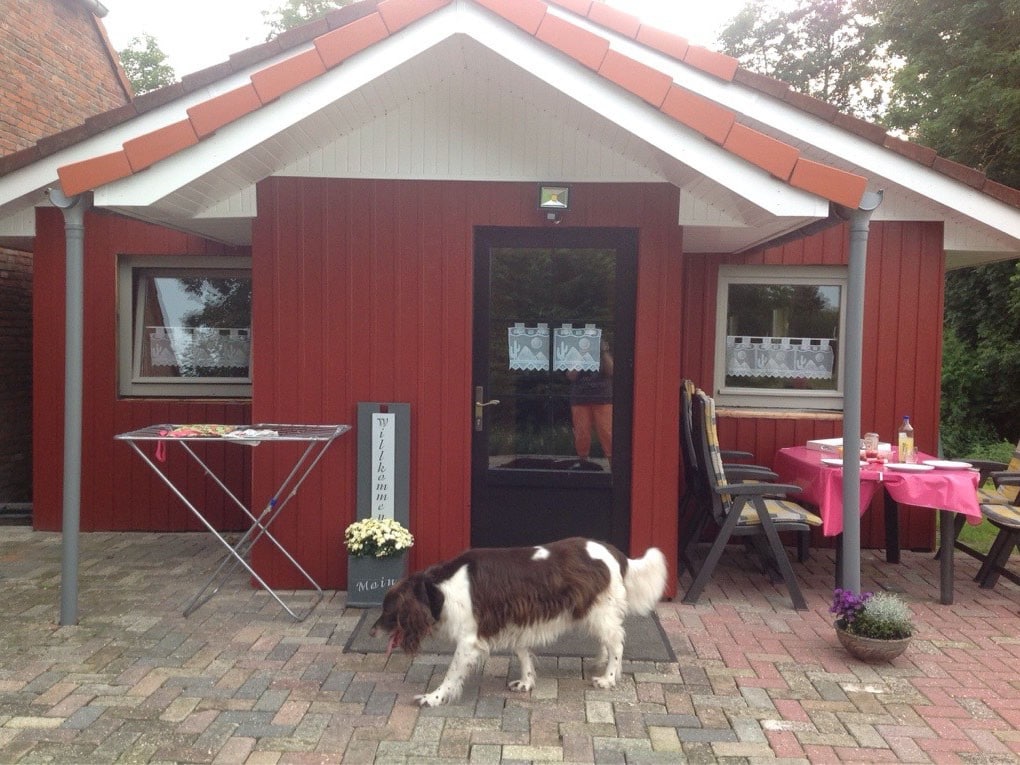 NEU Ferienholzhaus direkt am Deich mit Hund