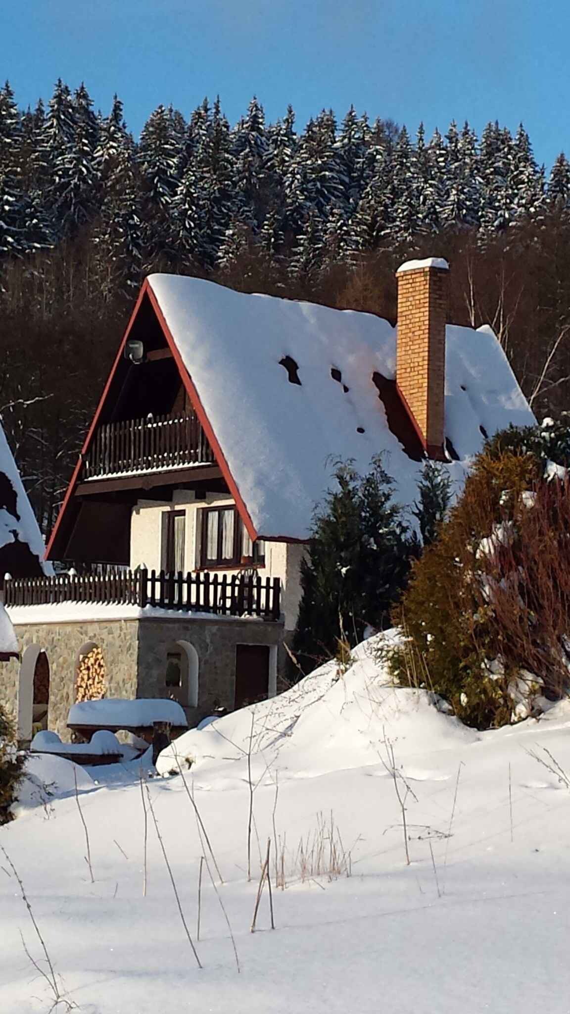 Holiday home at the forest with fireplace and bill