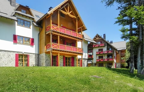 Awesome apartment in Pohorje