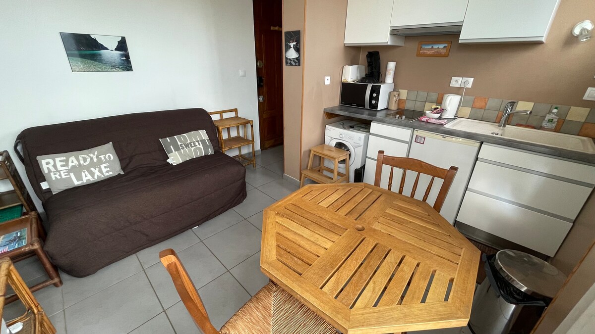 Rue Hoche Cannes 2 room apartment very quiet