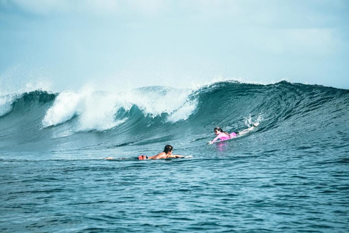 Jungle Bliss | Surfing. Restaurant