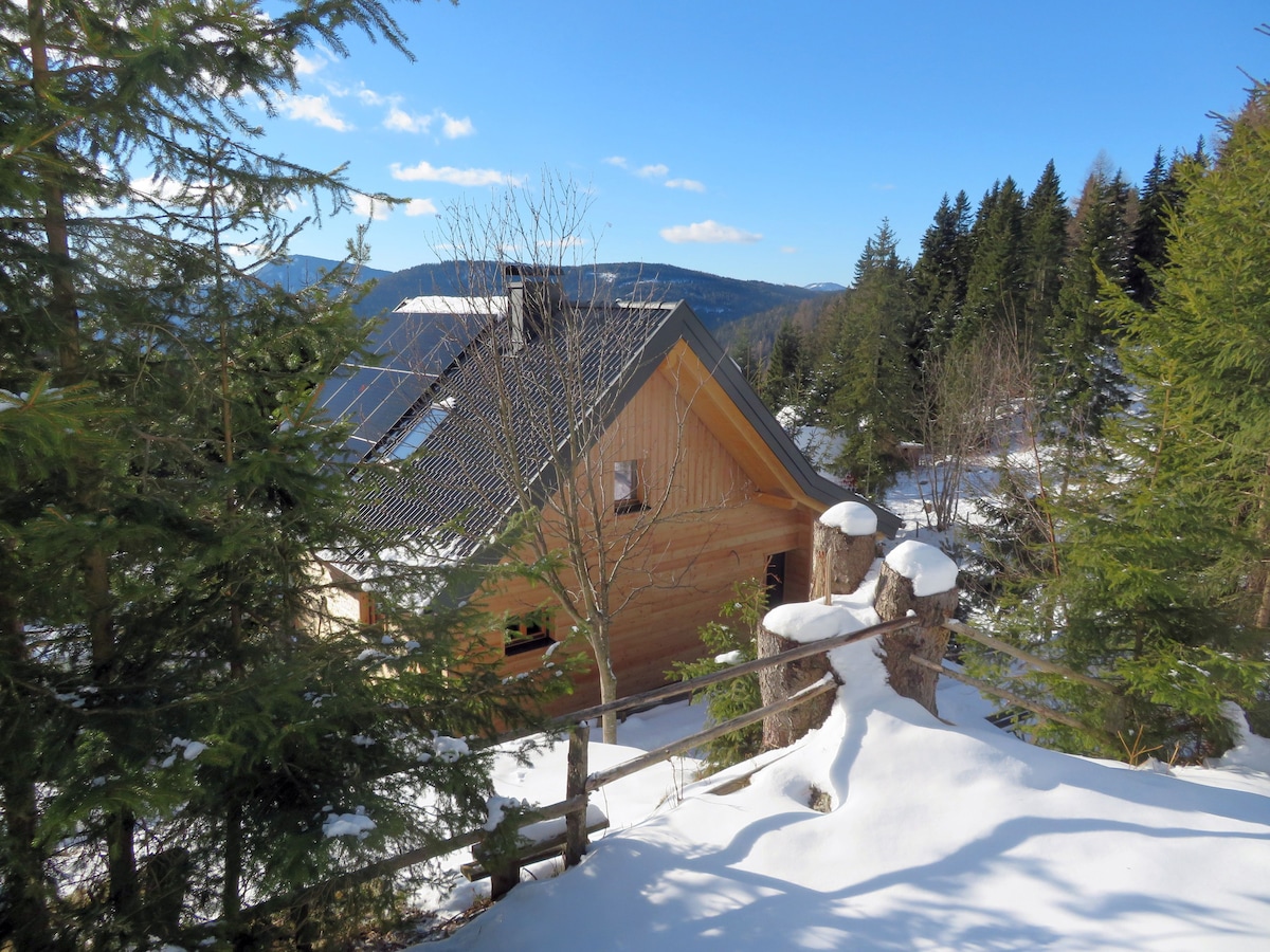 Uriges Almhaus mit Waldsauna