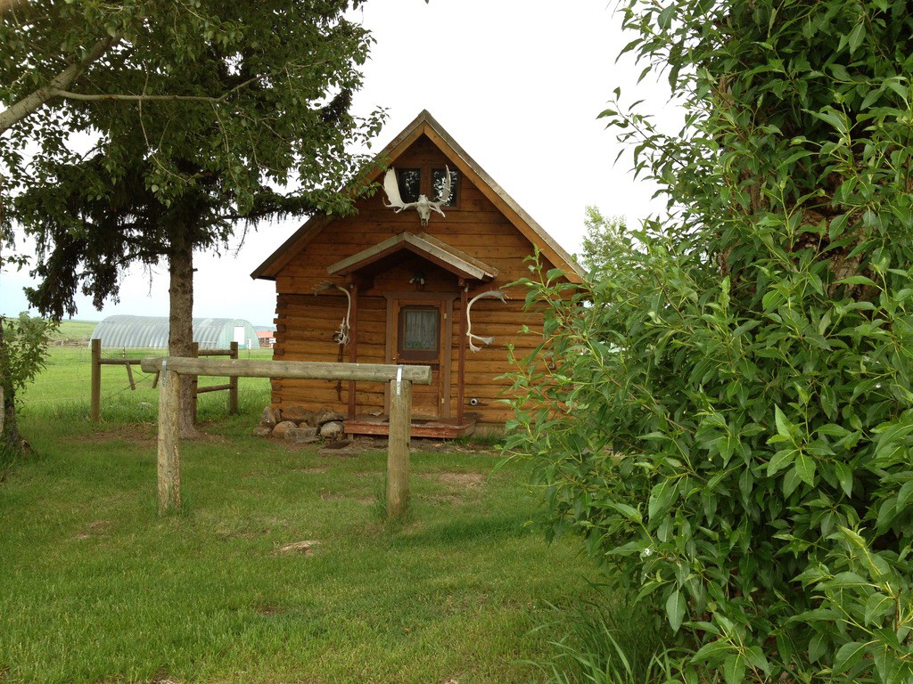 Uncle Buddy's  Cabin