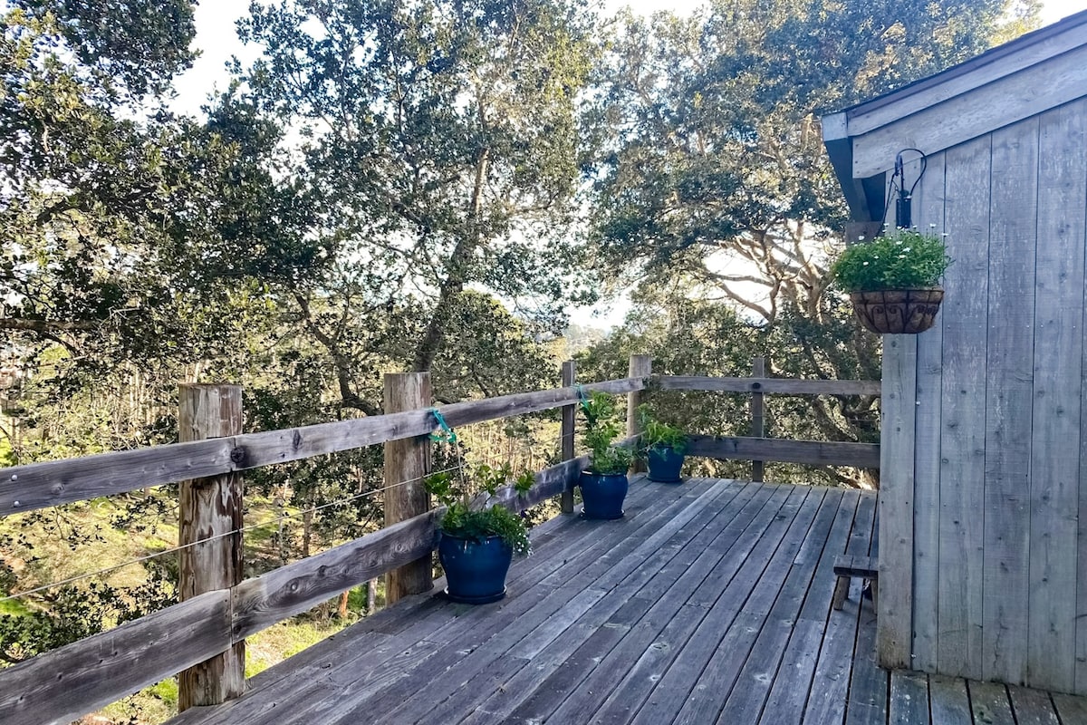 3BR dog-friendly house with deck & fireplace