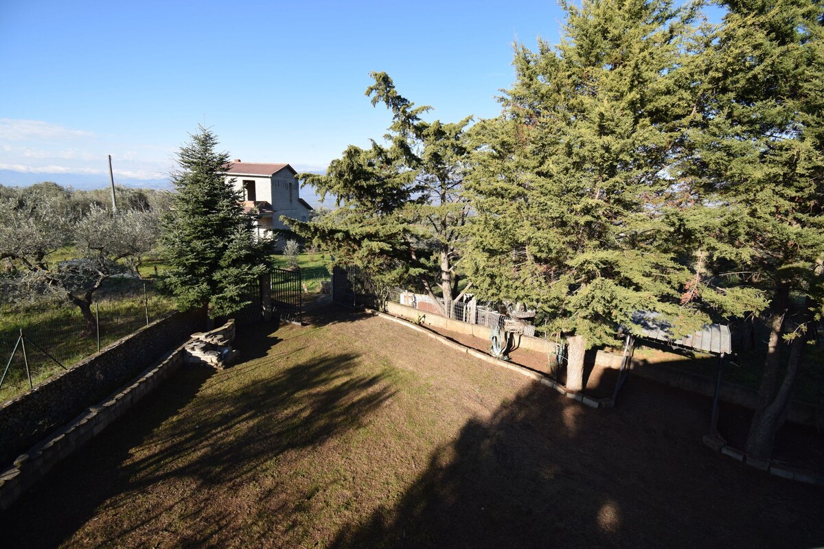 Villa Rinaldo In Cosenza With Private Garden - Vil