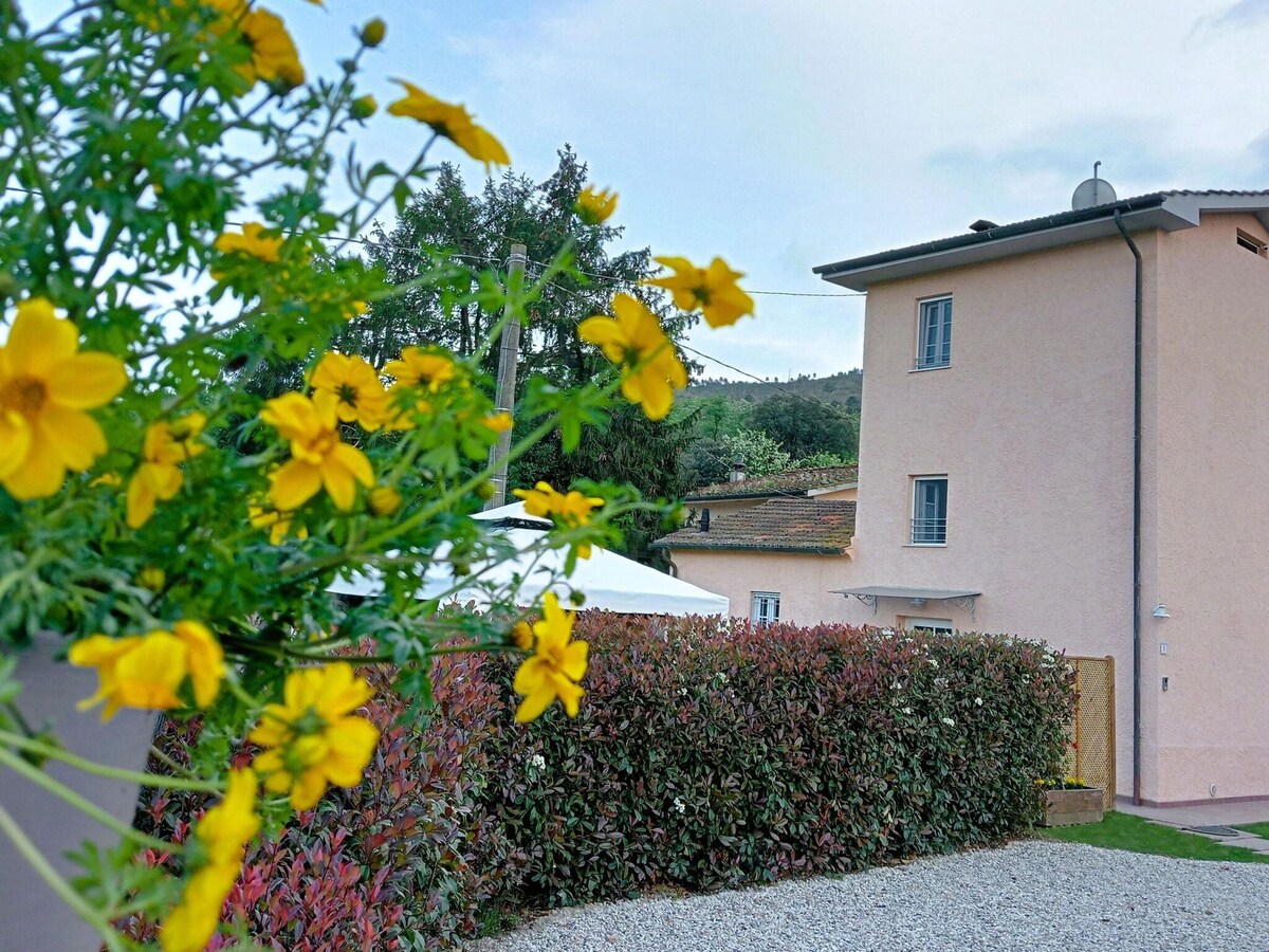 Casina di Andrea with above ground pool, Capannori