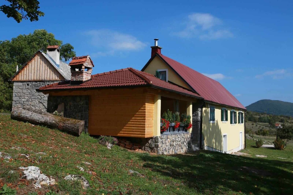 K-22686 Three bedroom house with terrace Žuta