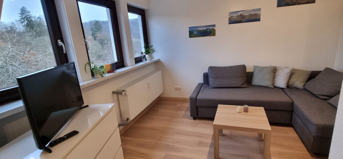 Ferienwohnung Parkblick (35m2) (Ferienwohnung Park