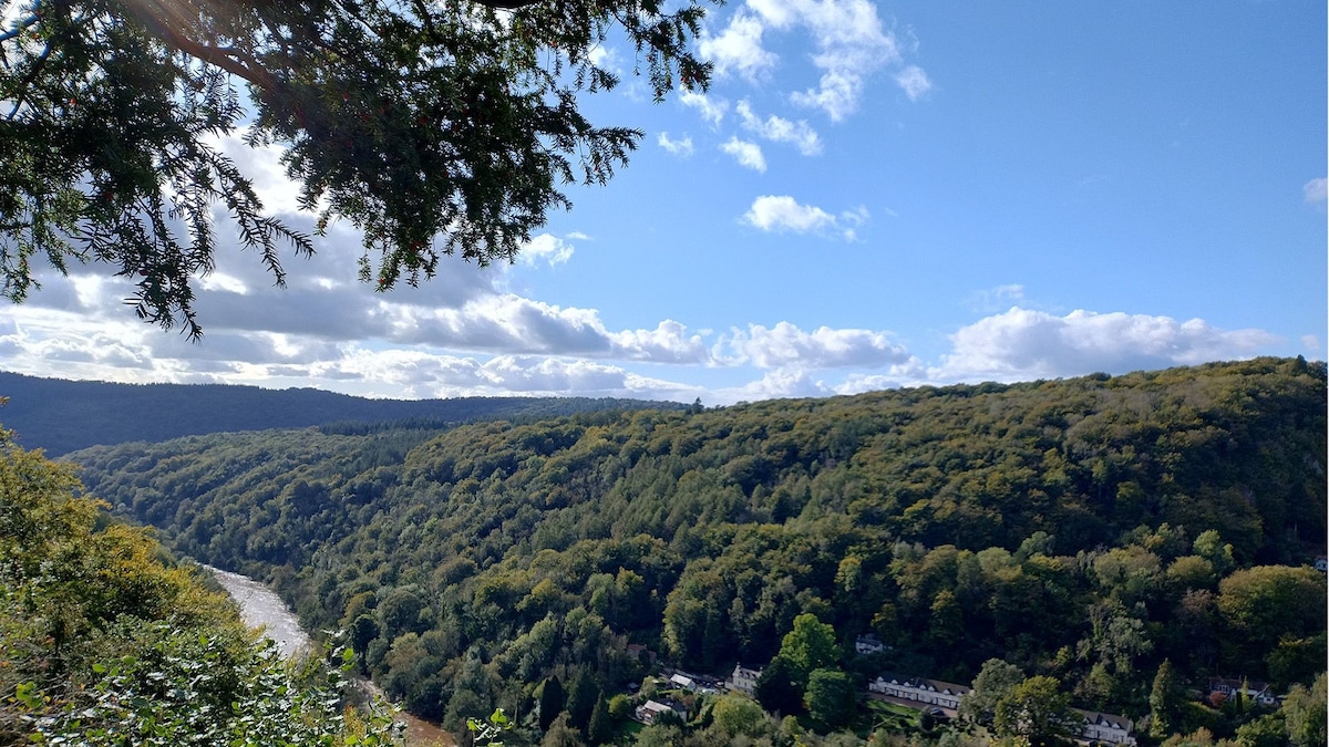 The Weir House, Symonds Yat with river view