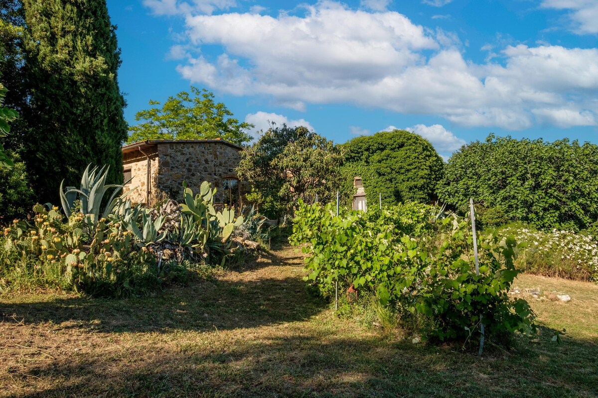 Stella Sud Podere Carbone