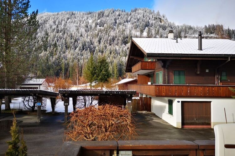 Charming apartment in Lenk