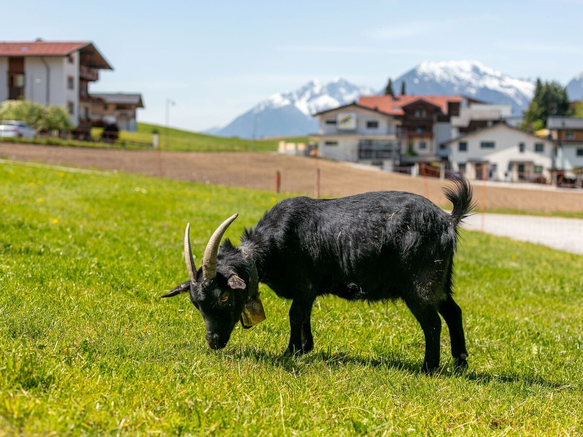 Apartment on a farm, 80 m from the ski bus