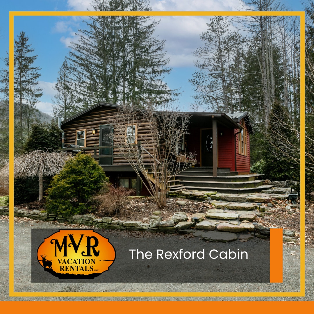 The Rexford Cabin: Easy Drive to PA Grand Canyon!