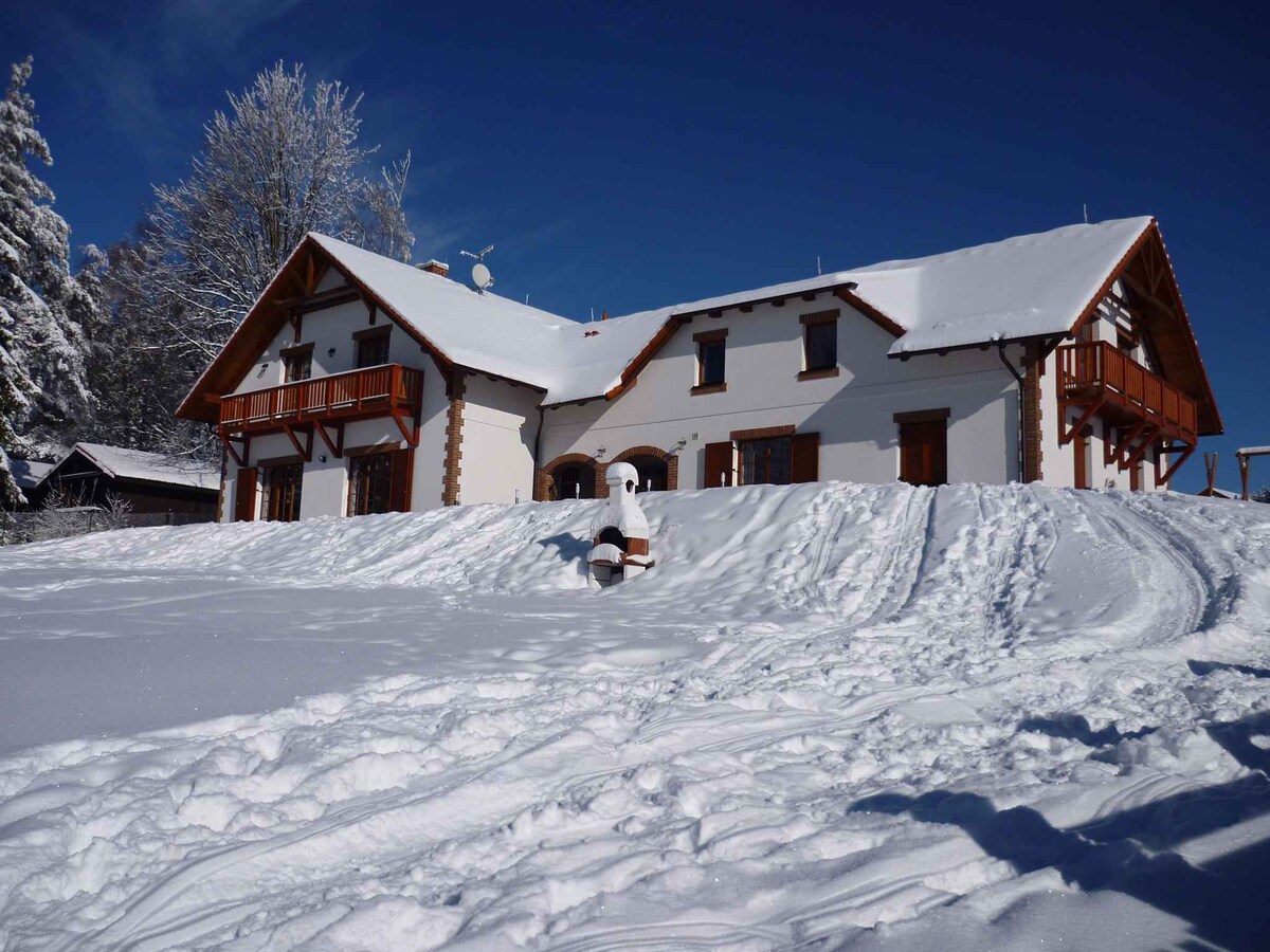 Holiday home with fireplace, sauna and garden at L