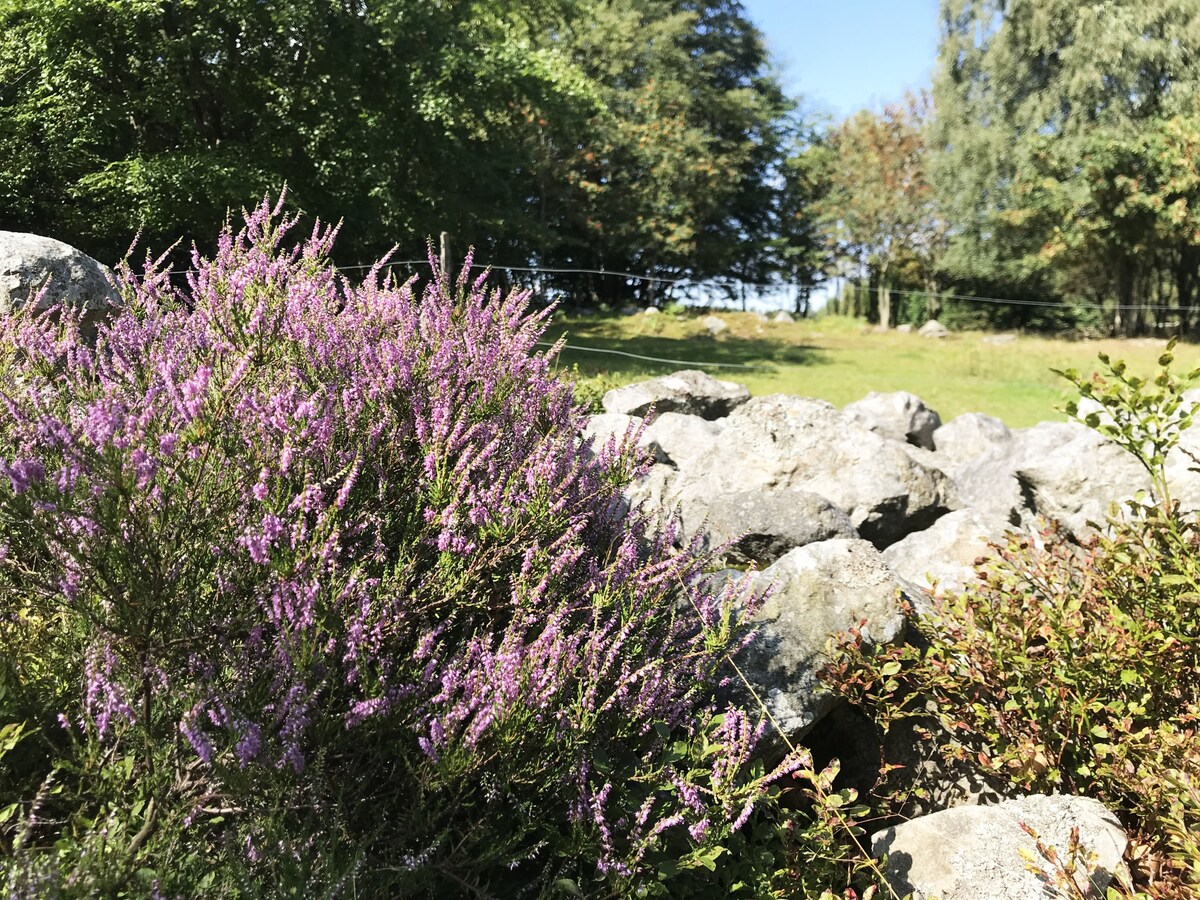 Cozy cottage in Vollsjö | Se01073