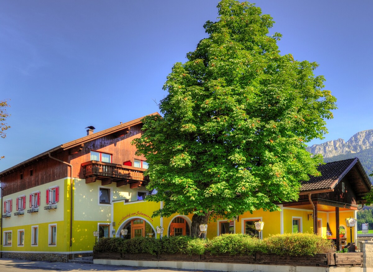 Hotel zum Schwanen - Appartement 4