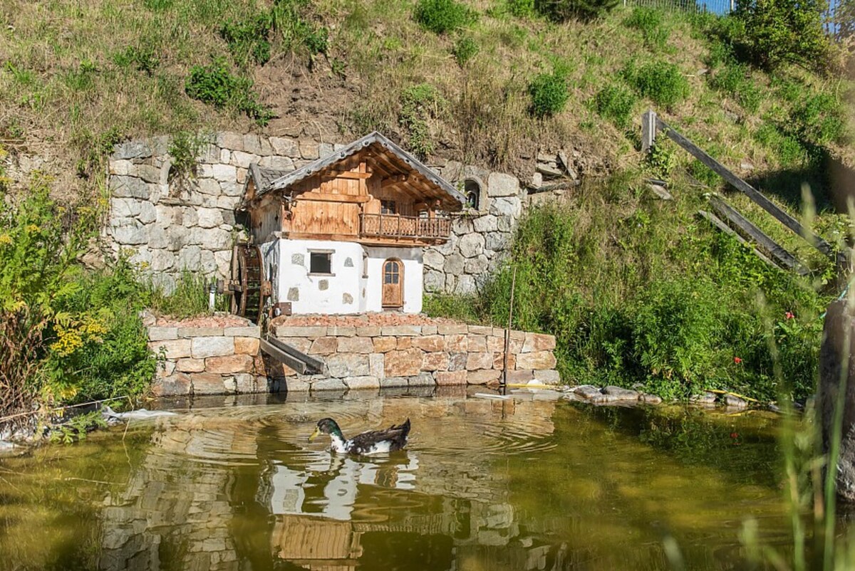 Patztauhof Wohnung Ortlerblick