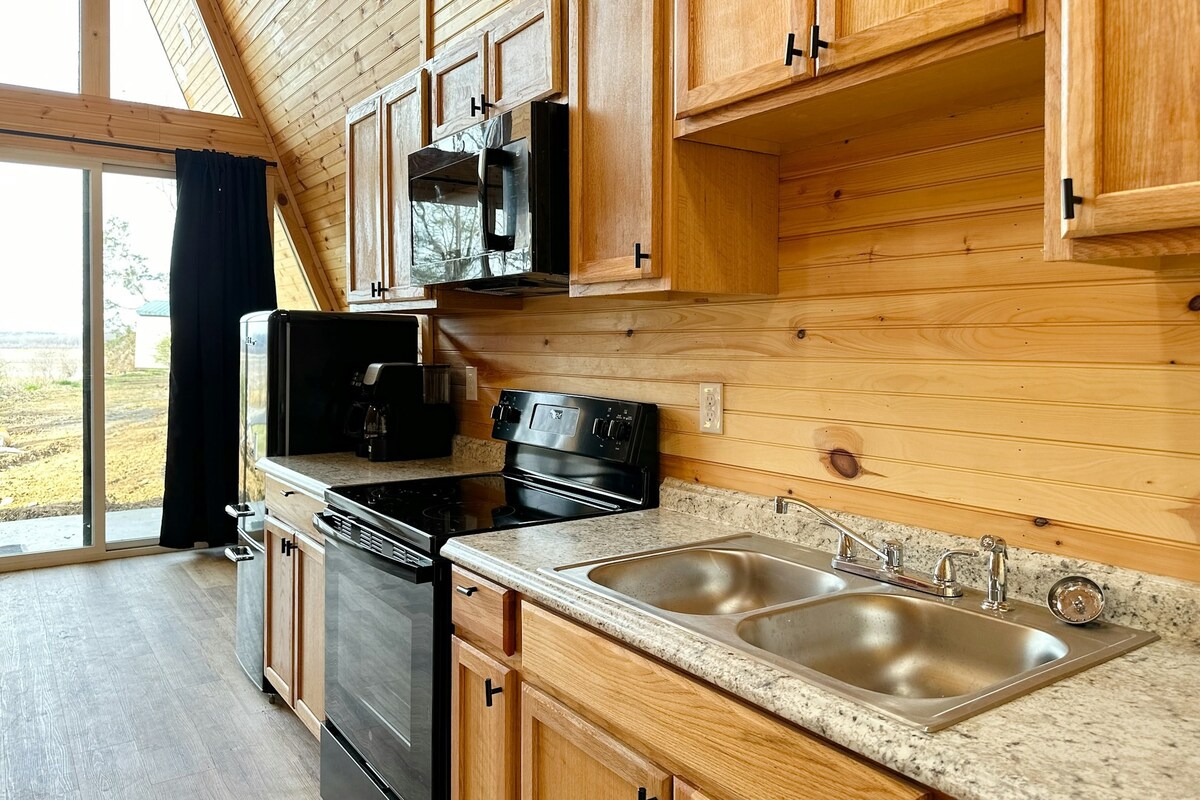 1BR dog friendly cabin with mountain views, loft