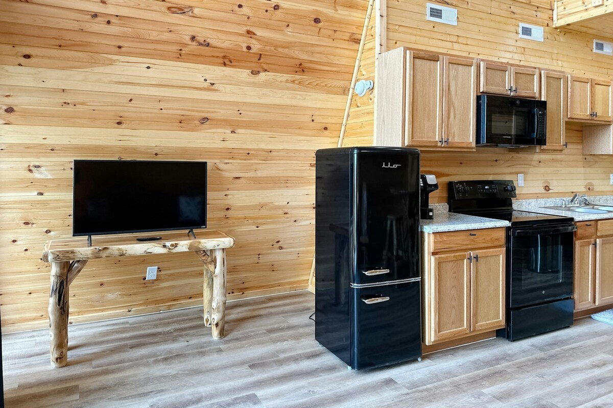 1BR dog friendly cabin with mountain views, loft