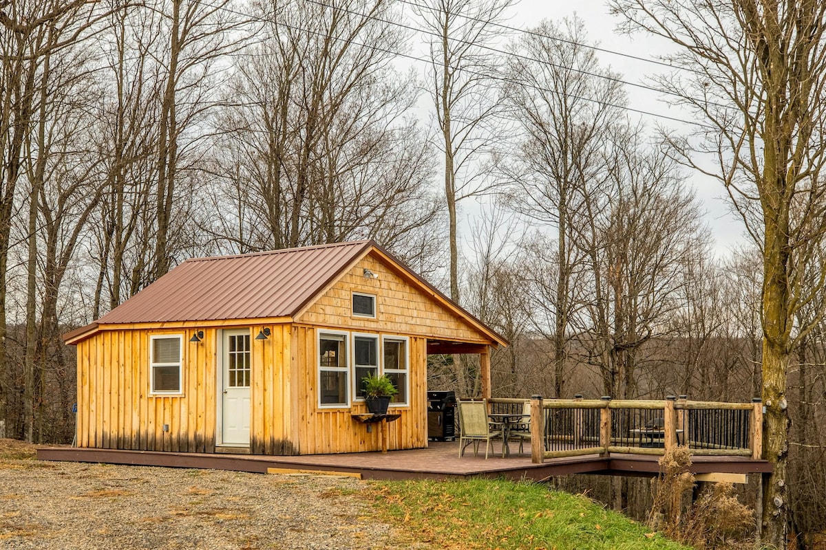Dog-friendly cabin with deck plus hot tub access