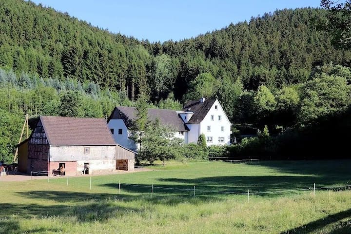 Sundern (Sauerland)的民宿