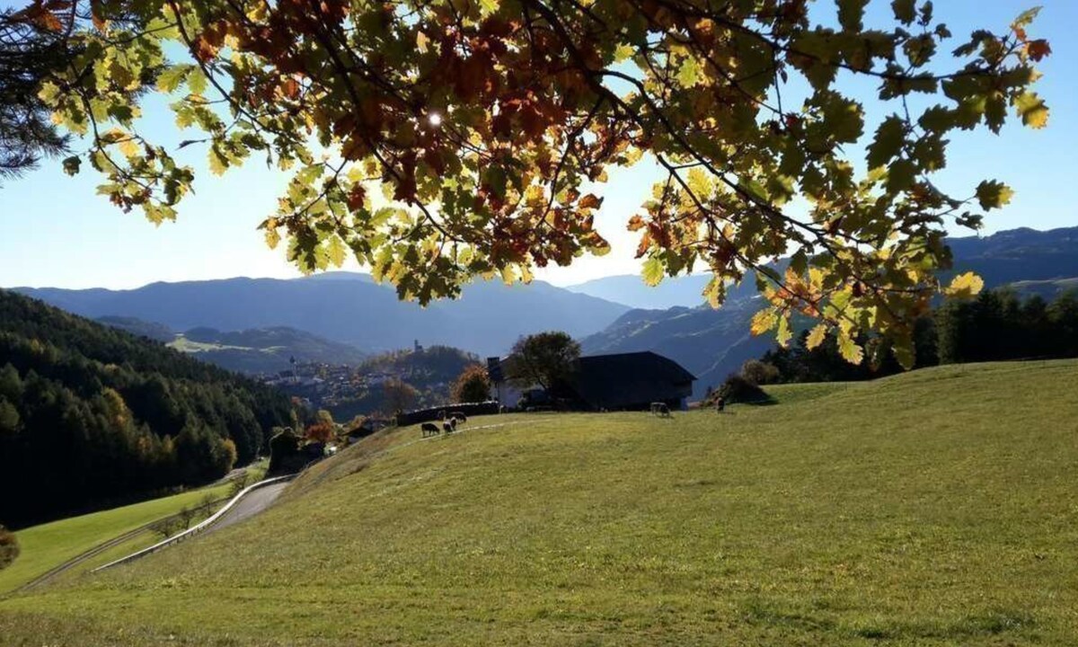 Apartment Völs Gfliererhof