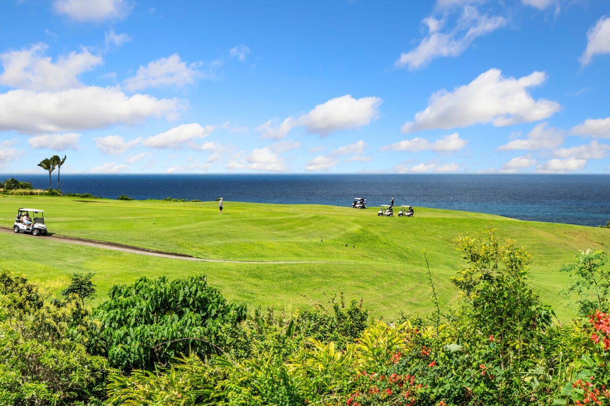 ⁕NEW! Hale Makai, Spectacular Ocean & Golf Views!