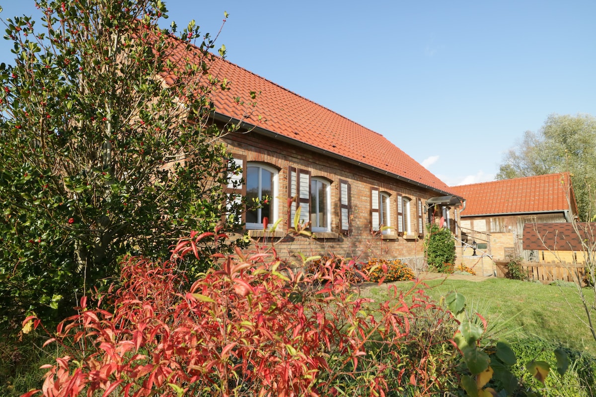 Ferienhaus Sommerfrische am Müritzsee