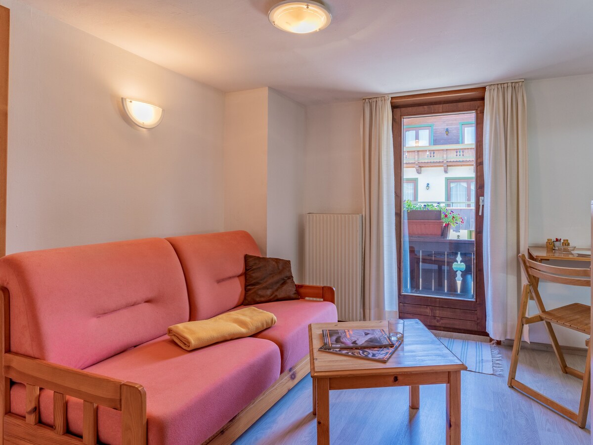 Cosy holiday apartment, only 450m to the ski lif