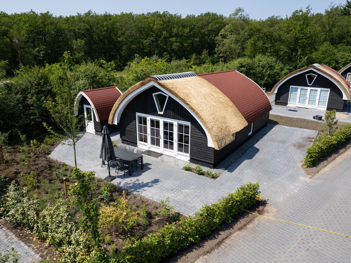 House with a terrace on the edge of the forest