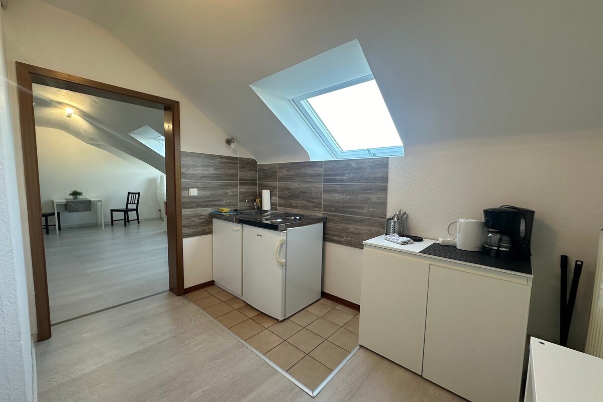 Ferienwohnung/App. für 2 Gäste mit 35m² in Mannheim (251341)