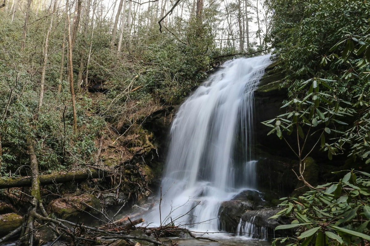 Magical private mountain retreat w/ trail to creek