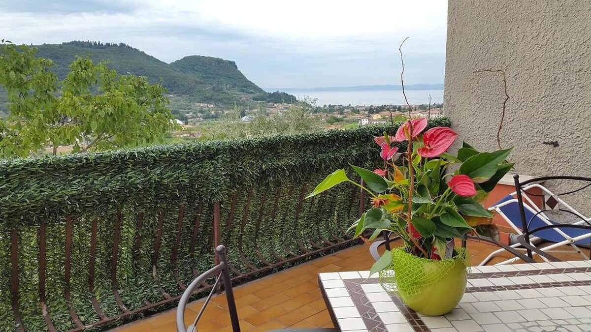 Apt Basic Terrazza Villa Olivi