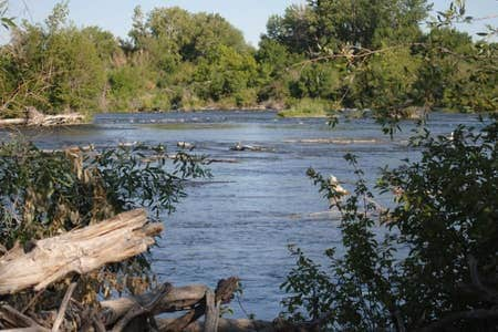 Henry's Fork Fishing Delight