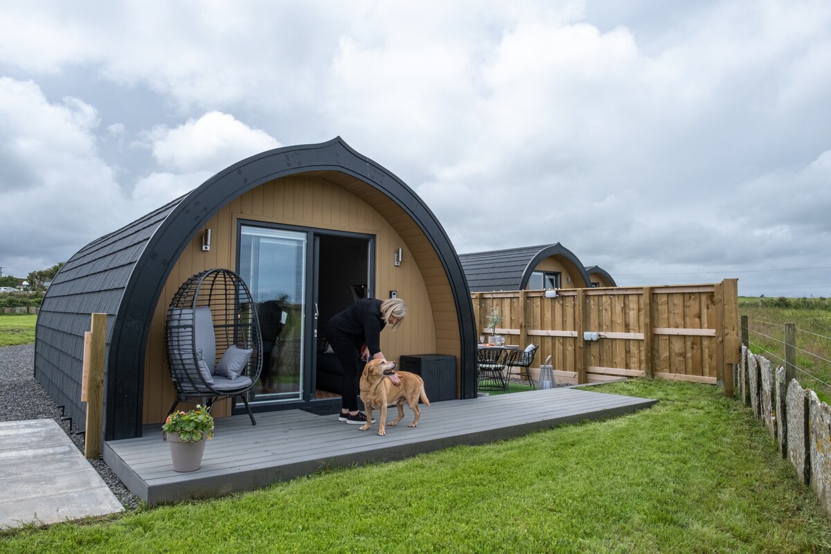 The Sheep Pod-dog friendly