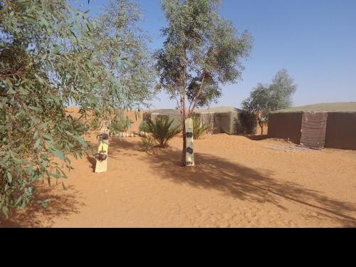We offer accommodation in traditional tente camp