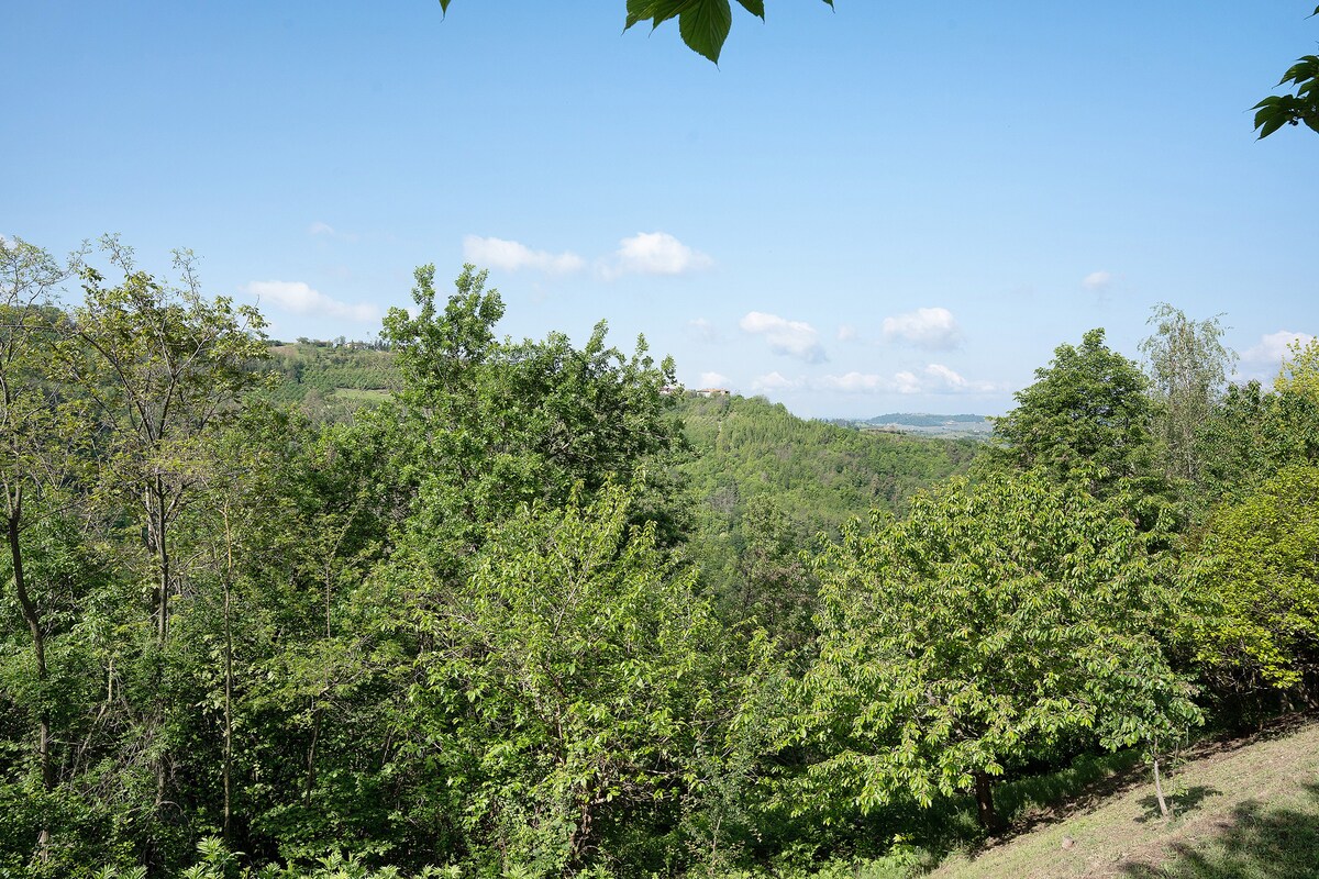 La Corte di Langa alloggio Ambra