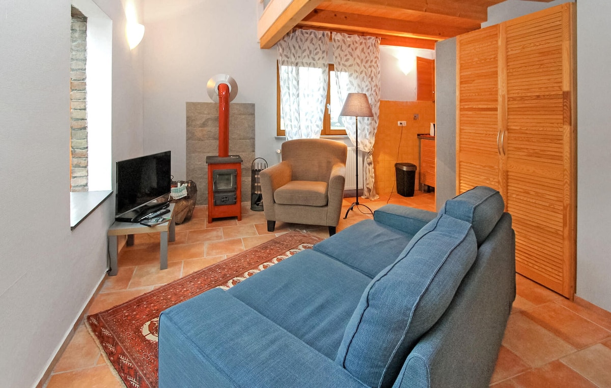 1 bedroom gorgeous apartment in Mirow