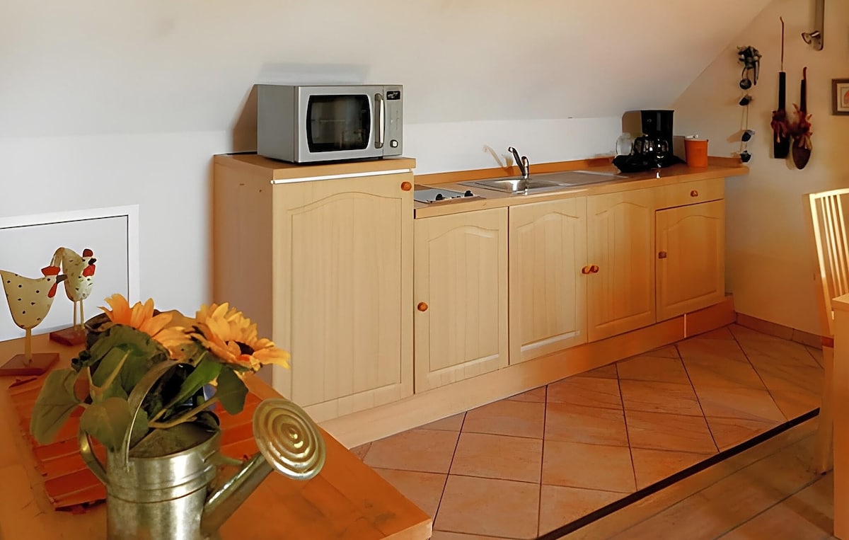 1 bedroom apartment in Altenkirchen auf Rügen