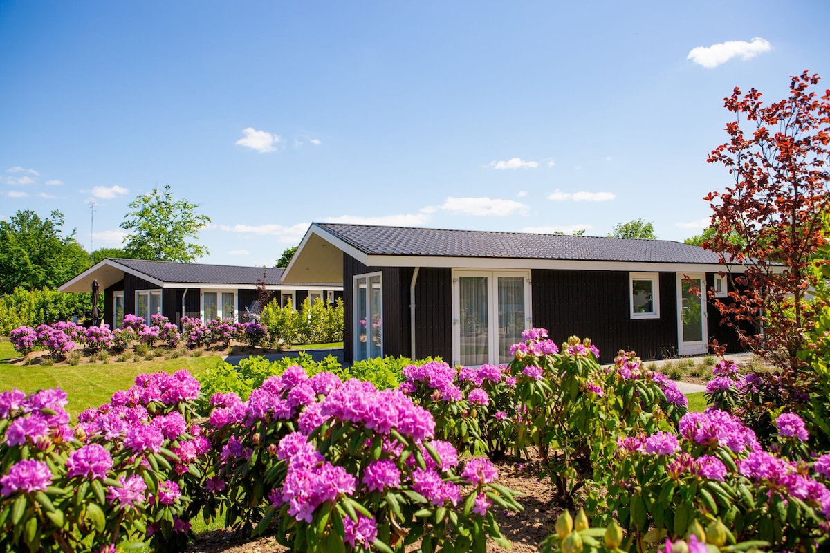 Modern chalet on the water in the Brabant Kempen