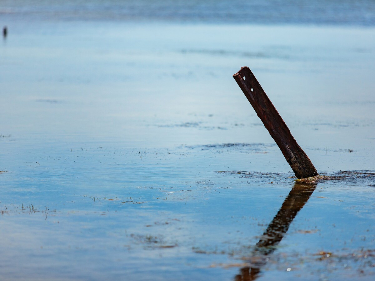 Face A L'Etang De Thau -   Etoiles