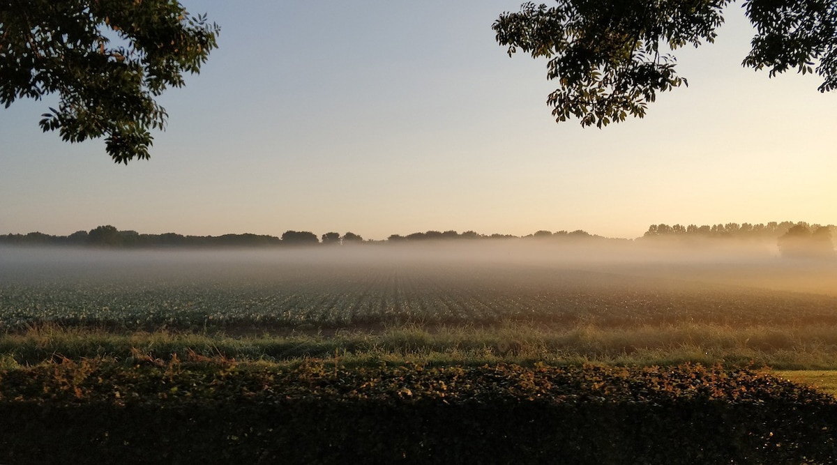 Natuurhuisje aan Duinrand