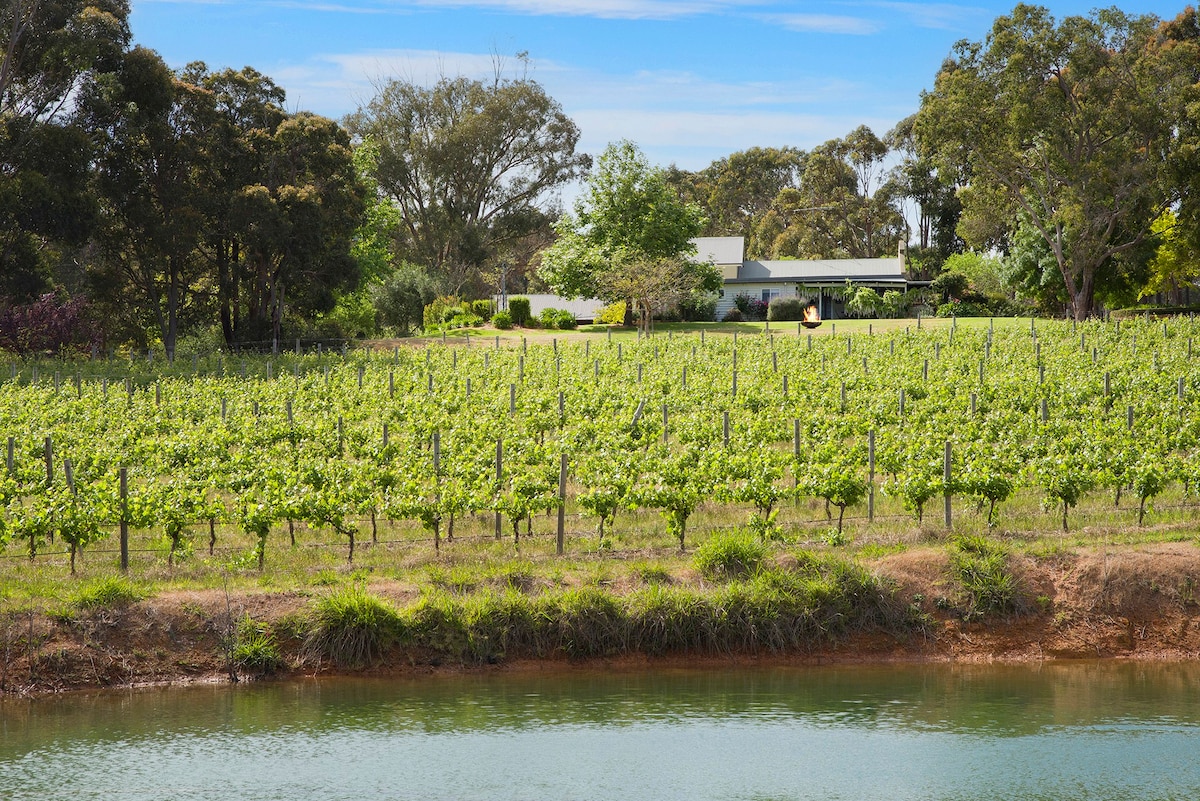 Wisteria Vines Estate