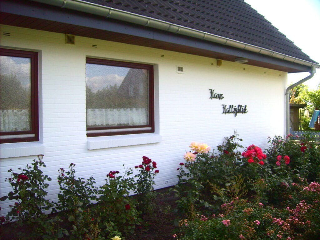 Hamburger Hallig in Haus Halligblick