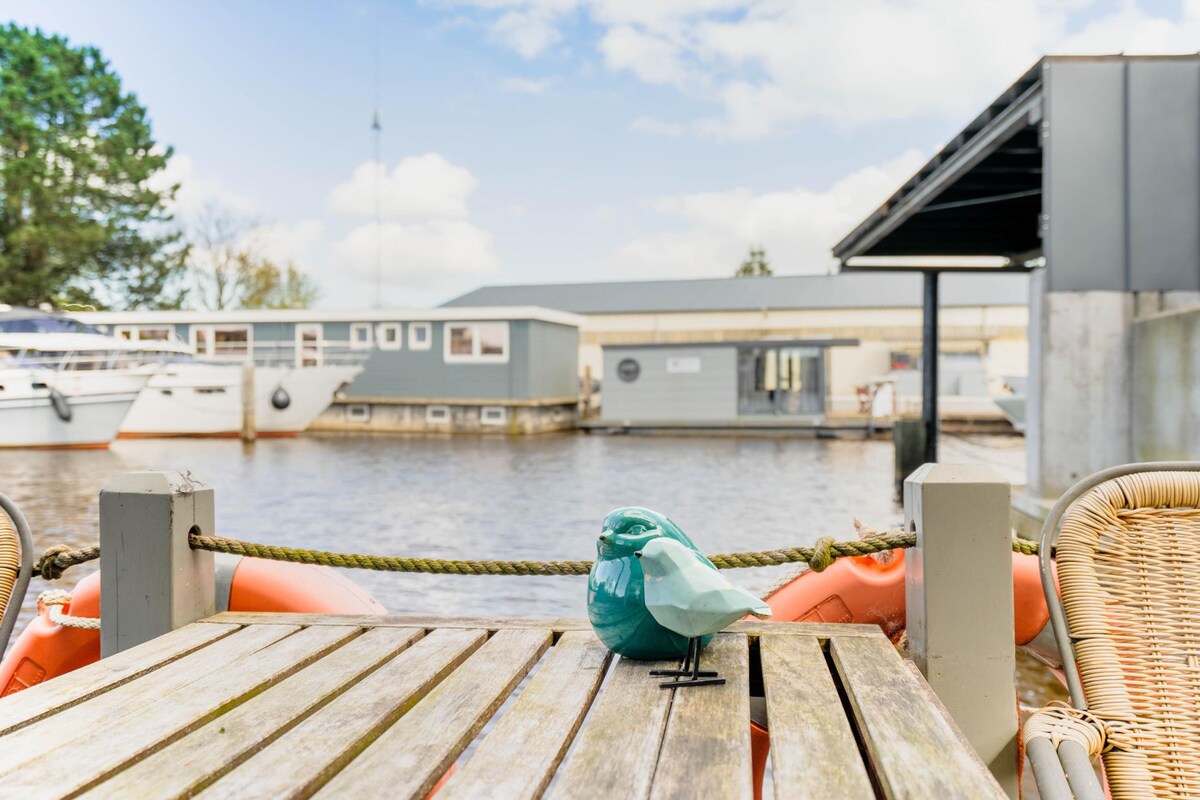 Charming and cozy Houseboat near Giethoorn