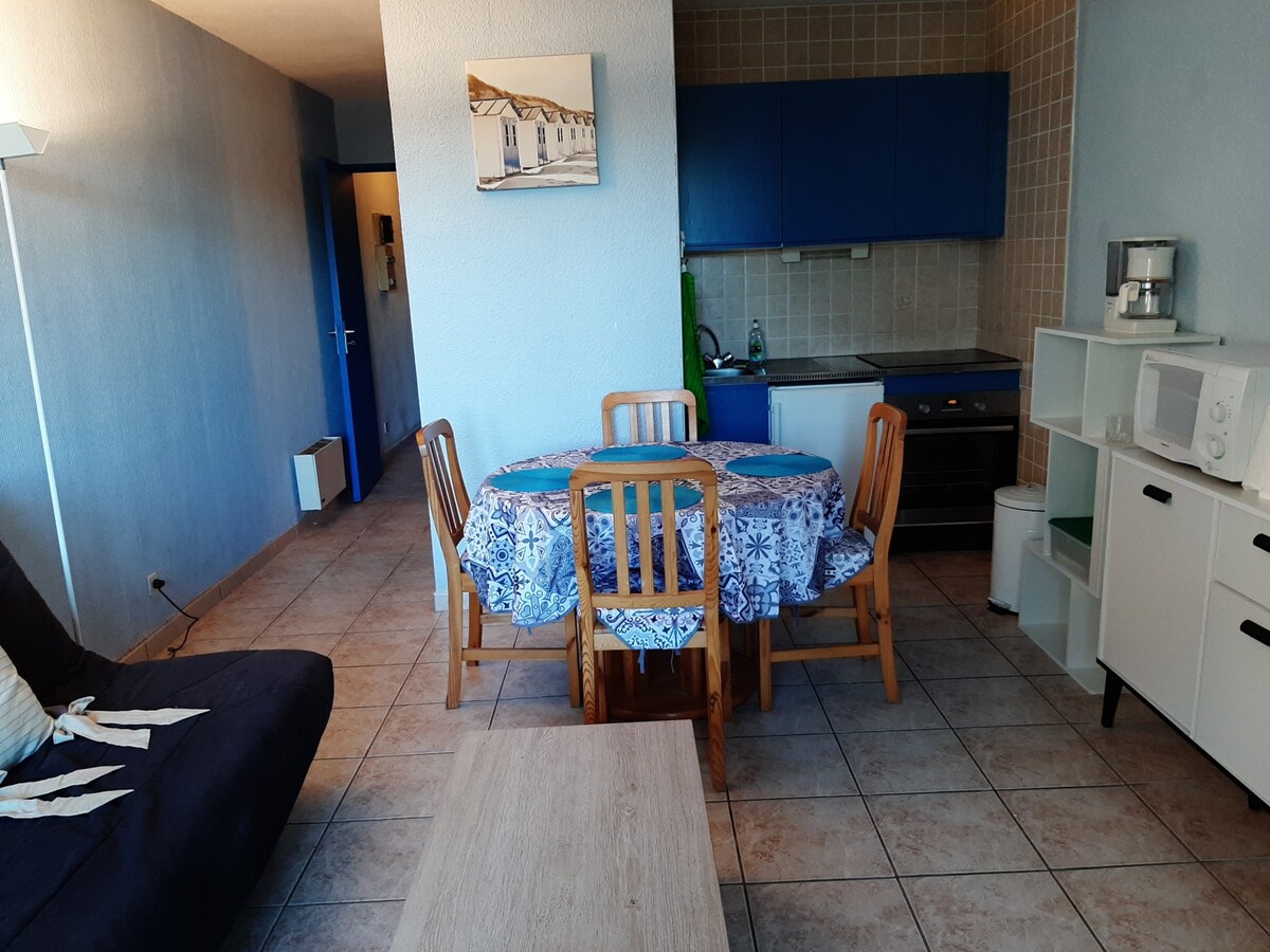 Apartment Seignosse, studio flat, 4 pers.