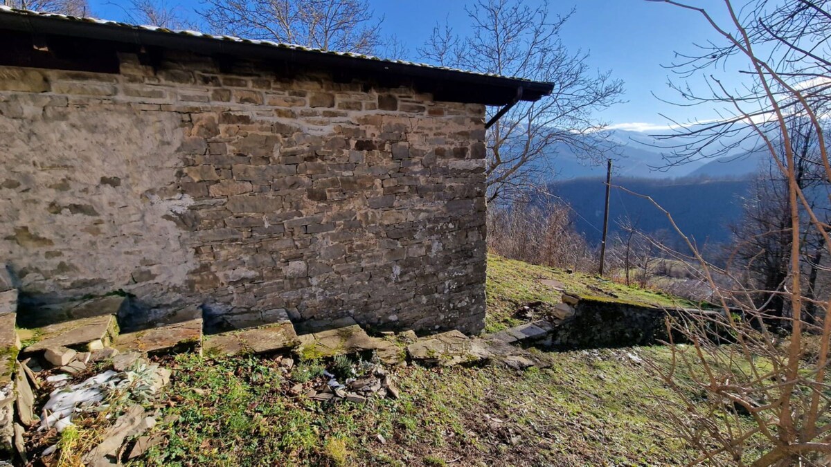 Casetta immersa nella natura